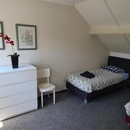 Roos 3*